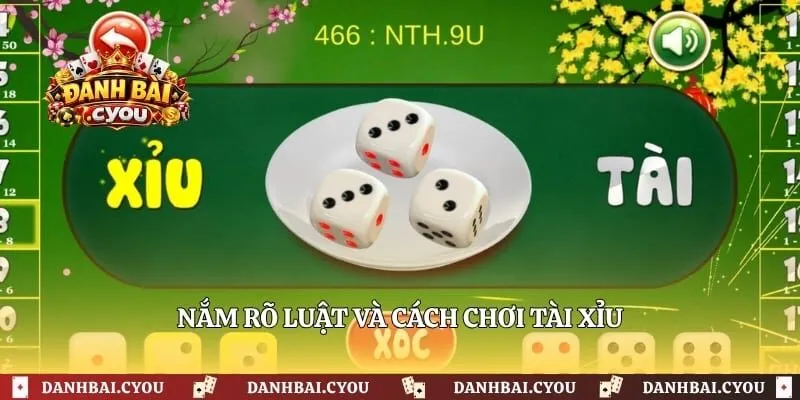 Nắm rõ luật và cách chơi tài xỉu