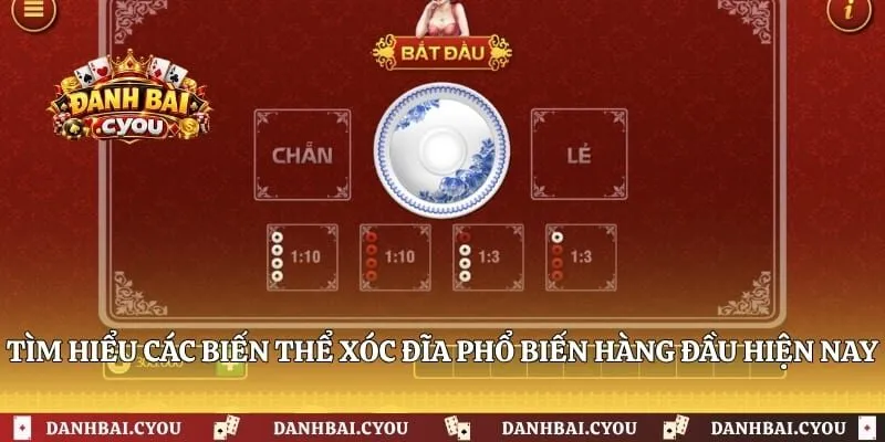 Tìm hiểu các biến thể xóc đĩa phổ biến hàng đầu hiện nay